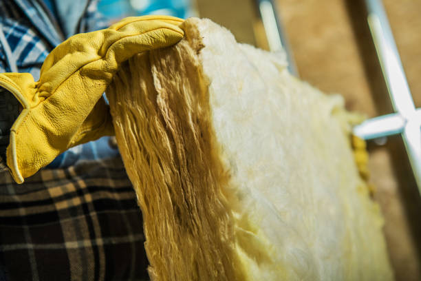 Types of Insulation We Offer in Egan, LA