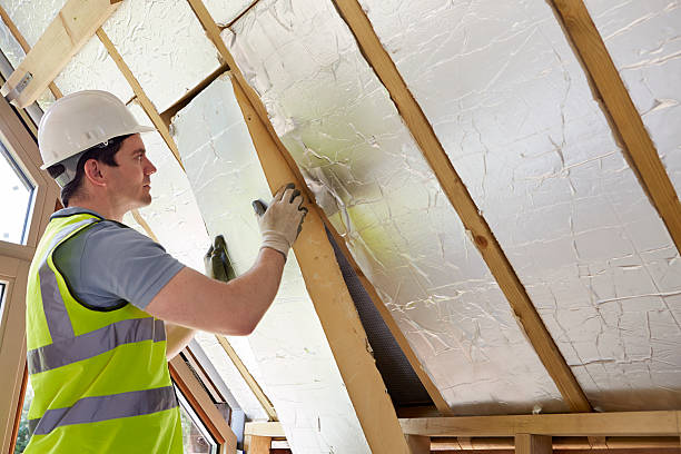 Best Eco-Friendly Insulation in Egan, LA