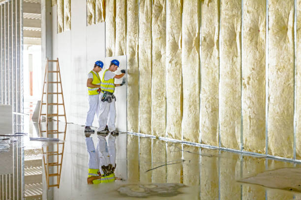 Best Eco-Friendly Insulation in Egan, LA